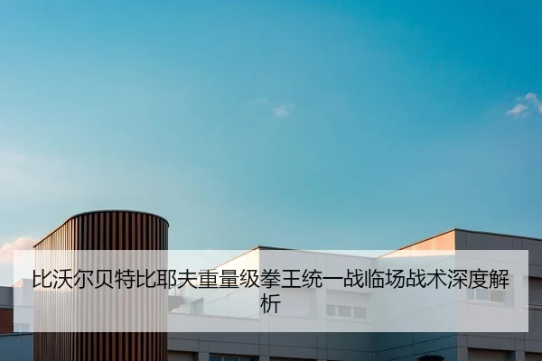 比沃尔贝特比耶夫重量级拳王统一战临场战术深度解析